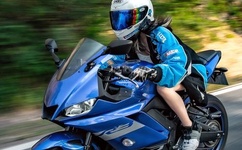 日本无码免费A片无码视频